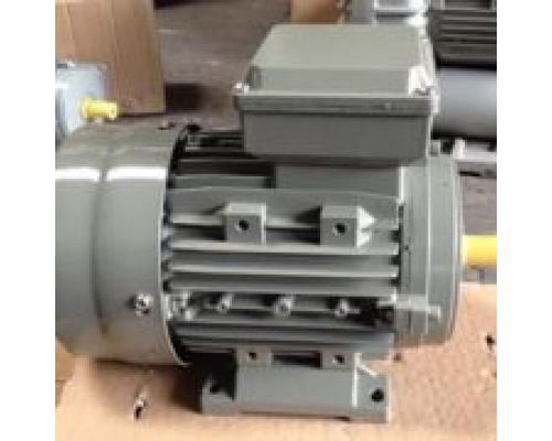 Motor TaTung (công suất 0.37 ~ 500 Kw)