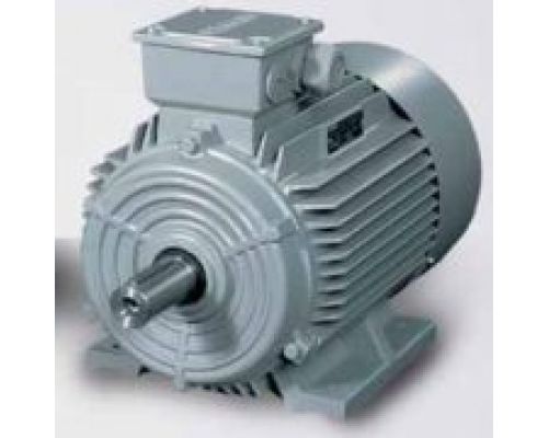 Motor Siemens (công suất 0.5 ~ 500Kw)